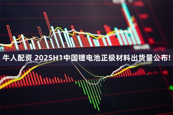 牛人配资 2025H1中国锂电池正极材料出货量公布!