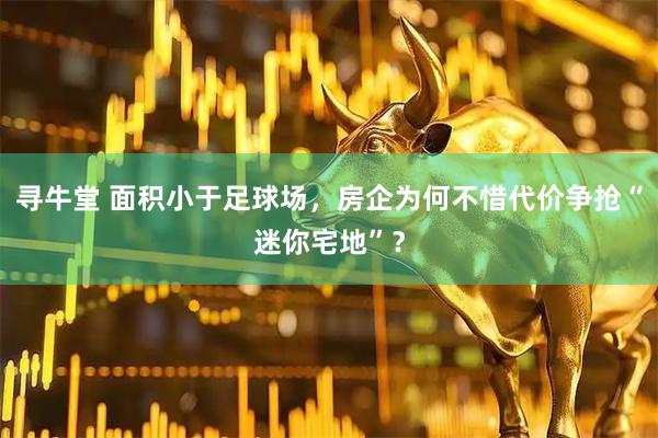 寻牛堂 面积小于足球场,房企为何不惜代价争抢“迷你宅地”?